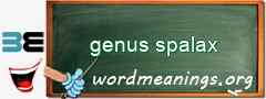 WordMeaning blackboard for genus spalax